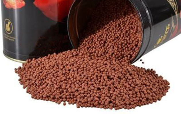 How to use fish pellet to feed fish?