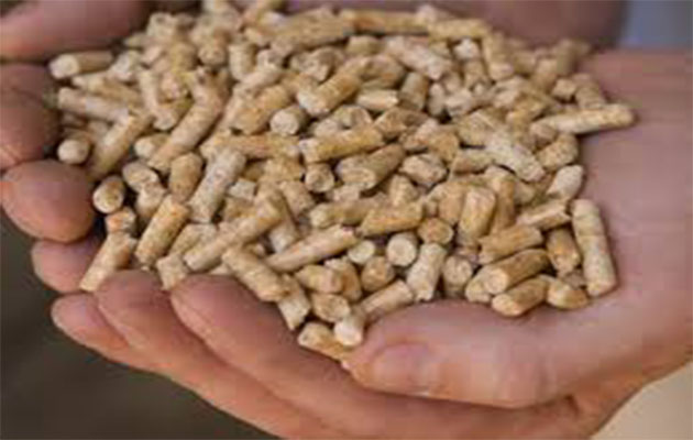 wood pellet