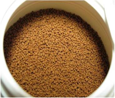 fish feed pellet machine